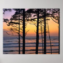 Suche nach washington state poster Tree