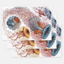 Suche nach tentakel geschenkpapier Qualle