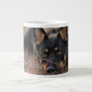 Suche nach german shepherd tassen Haustiere