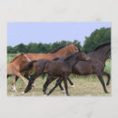 Recherche de galoper de cheval invitations Équestre