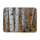 Suche nach cacher magnete Wald