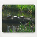 Suche nach schildkröten mousepads Grün