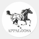 Recherche de appaloosa autocollants Cheval