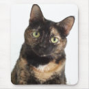 Suche nach miezekatze mousepads Felines