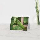 Recherche de concombre vœux cartes Jardin