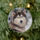 Recherche de siberian husky ornements Alaskan malamute