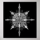 Suche nach ernst haeckel poster Biologie