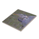 Recherche de plumage carreaux Grand héron bleu