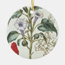 Suche nach 17 jahrhundert ornamente Botanisch