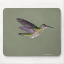 Recherche de côte tapis souris Photographie