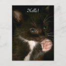 Suche nach smoking katze poster Weiß