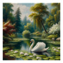 Recherche de lac cygne posters Élégant