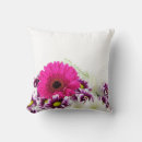 Suche nach gerbera kissen Pflanze