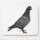 Suche nach tauben mousepads Natur