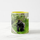 Recherche de gorilles tasses Silverback