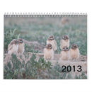 Suche nach adler kalender Wild lebende tiere