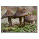 Recherche de champignon planches à découper Vert