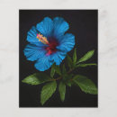 Suche nach vegetation flyer Blume