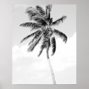 Recherche de paumes blanches tropicales Été