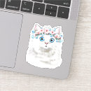 Recherche de chat assez blanc Yeux bleus