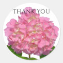 Suche nach rosa hydrangea aufkleber Hydrangeas