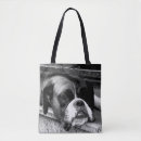 Recherche de de boîte sacs Chien