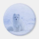Recherche de climat magnets Nature