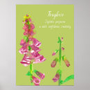 Suche nach botanische malerei poster Pflanze