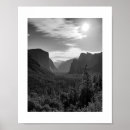 Suche nach schwarze sonne poster Bäume