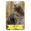 Suche nach geburt magnete Für sie/ihn