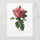 Suche nach flor postkarten Botanisch