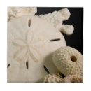 Recherche de larve carreaux Fermeture