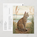 Suche nach makrelen postkarten Katze