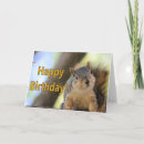 Suche nach eichhörnchen geburtstag karten Wildtiere