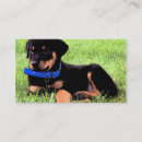 Suche nach rottweiler waren visitenkarten Tiere
