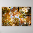 Recherche de copie de jardin posters Jardins