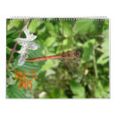 Suche nach marienkäfer kalender Wanzen