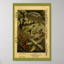 Suche nach jelly poster Vintag