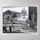 Suche nach tabak poster Pflanze