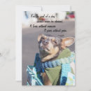 Recherche de réfugiés vœux cartes Chien