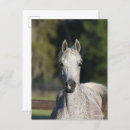 Suche nach arabische sprache postkarten Grau