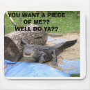 Recherche de reptile tapis souris Alligators