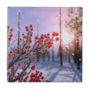 Suche nach tanne fliesen Schnee