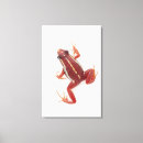 Suche nach waage leinwandbilder Tiere