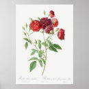 Suche nach rose poster Weiblich
