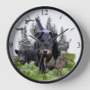 Recherche de sangliers horloges Chasse