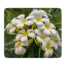 Recherche de fleurs exotiques planches à découper Plante