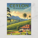 Recherche de la ceylan cartes postales Ceylon