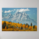Recherche de montagnes de teton Forêt
