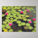Recherche de spiritual posters Lotus